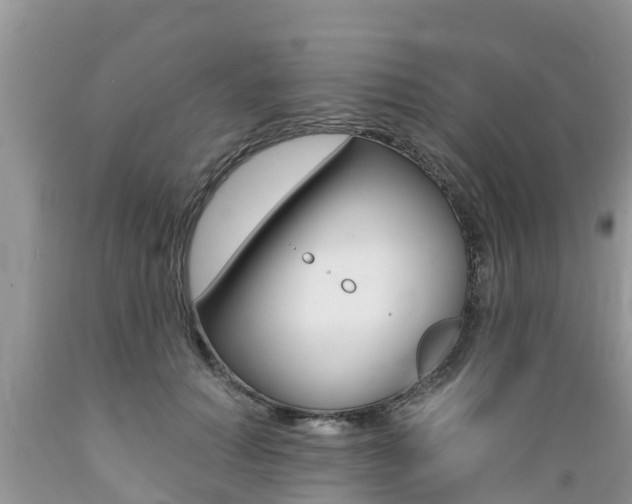 X0000089670654200706210754