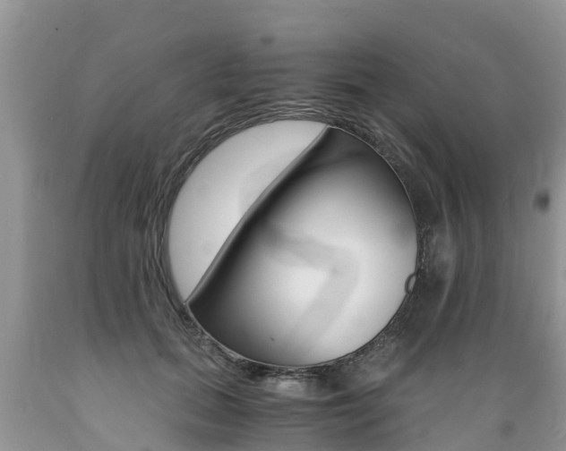 X0000089670655200706210754