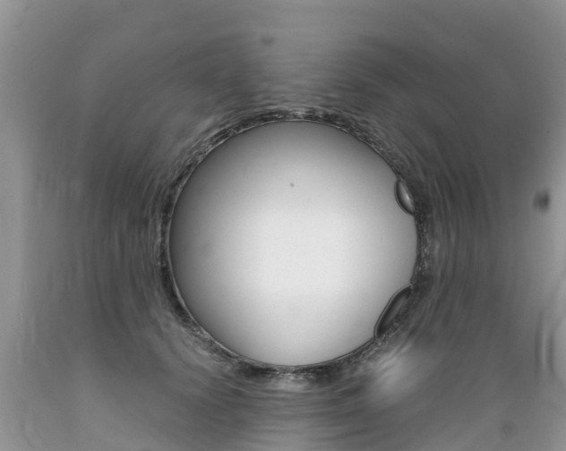X0000089670656200706210754