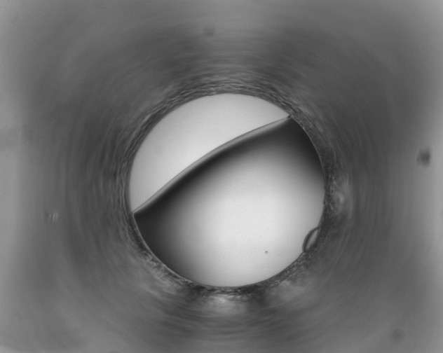 X0000089670657200706210754