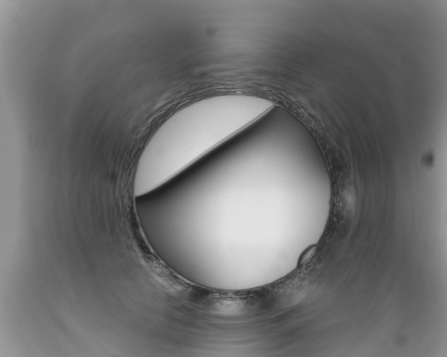 X0000089670658200706210754