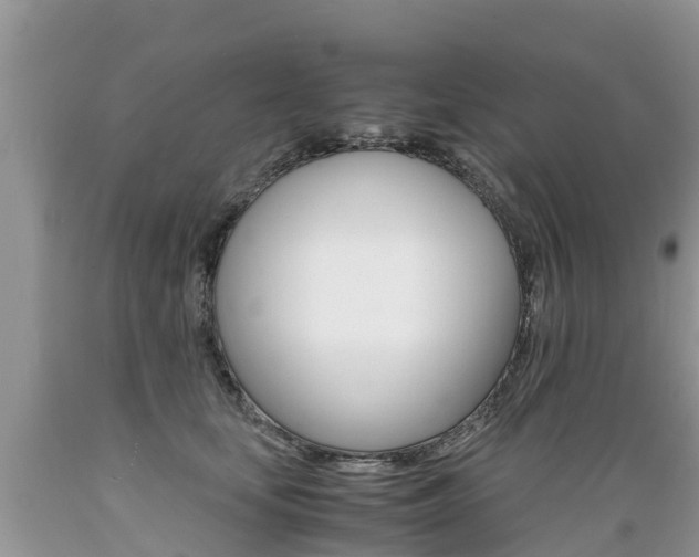 X0000089670659200706210754