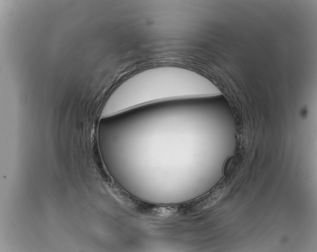 X0000089670660200706210754