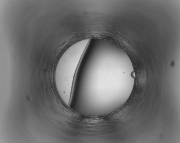 X0000089670661200706210754