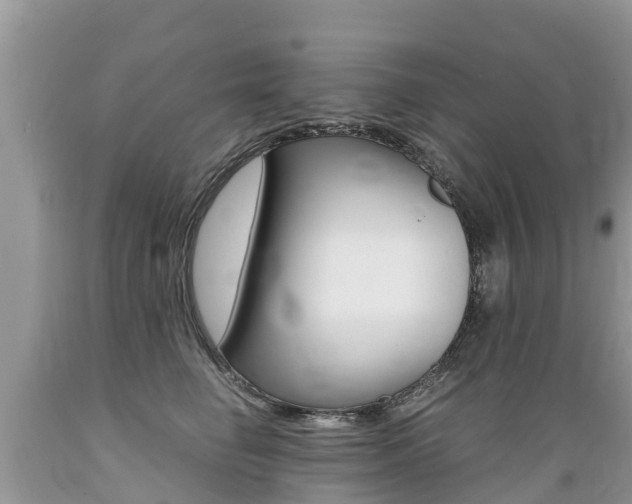 X0000089670662200706210754