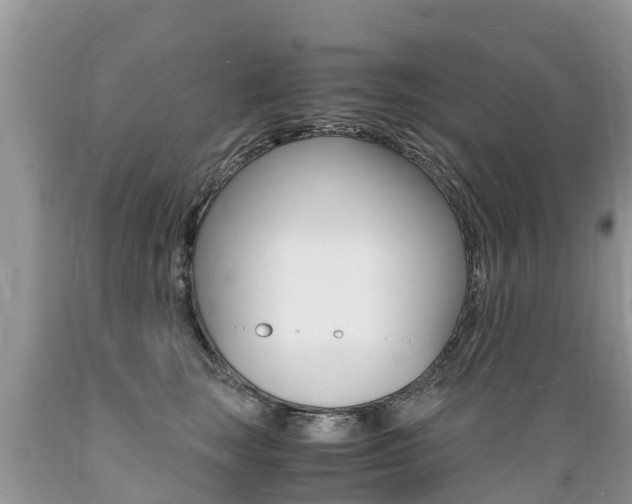 X0000089670663200706210754
