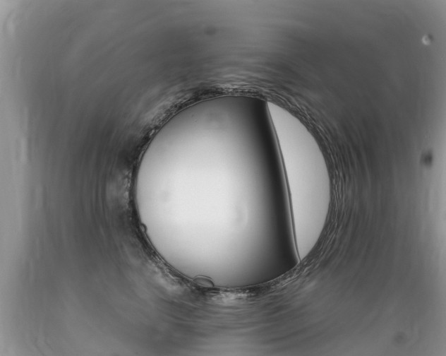 X0000089670664200706210754
