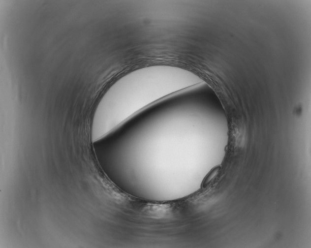 X0000089670665200706210754