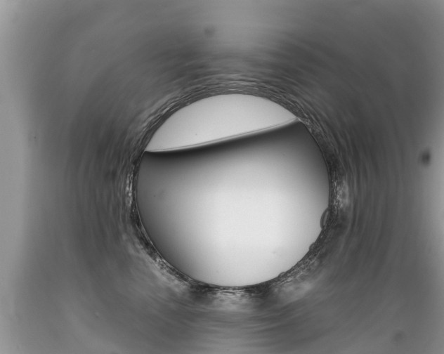X0000089670666200706210754