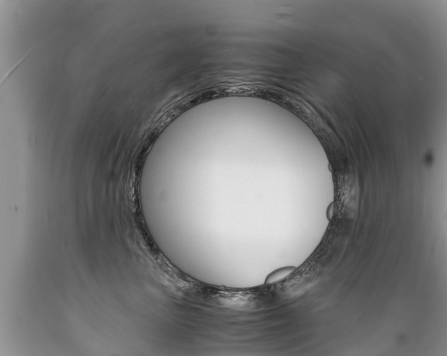 X0000089670667200706210754