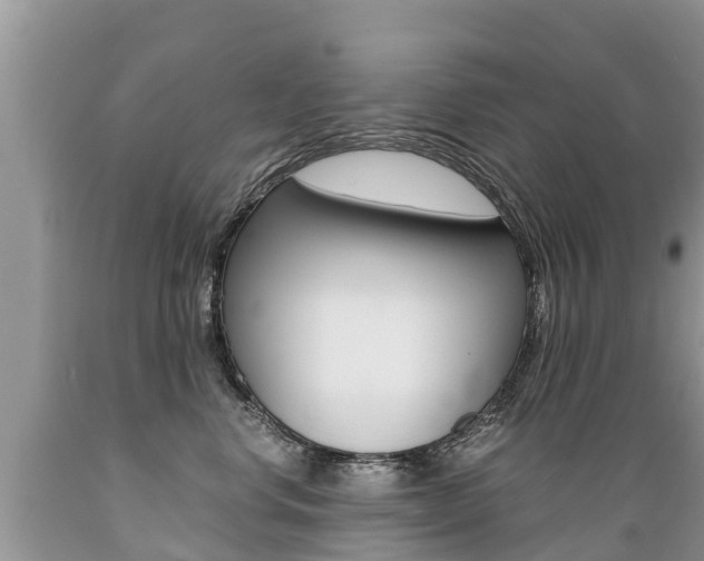 X0000089670668200706210754