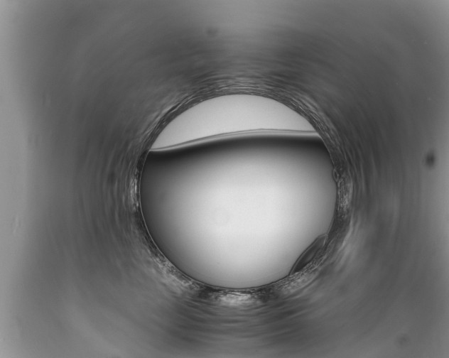 X0000089670669200706210754