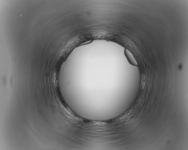 X0000089670670200706210754