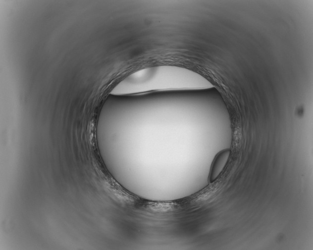 X0000089670671200706210754