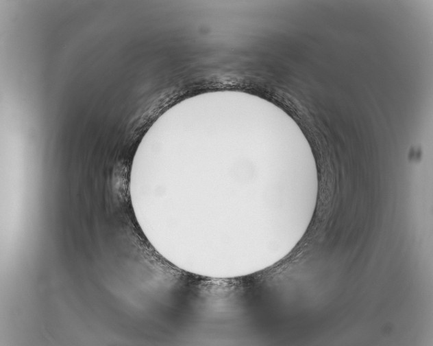 X0000089670672200706210754