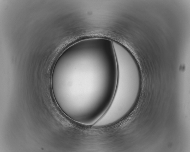 X0000089670673200706210754