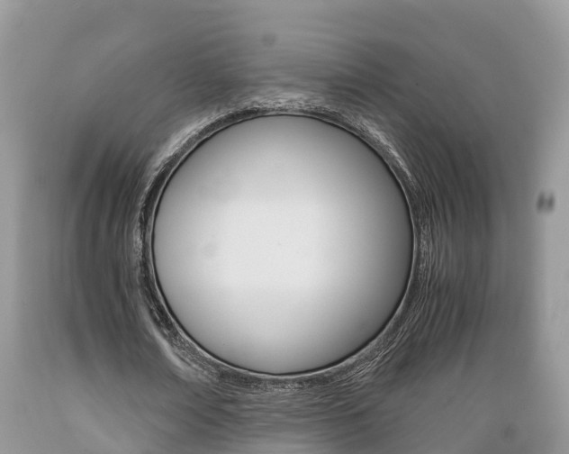 X0000089670674200706210754