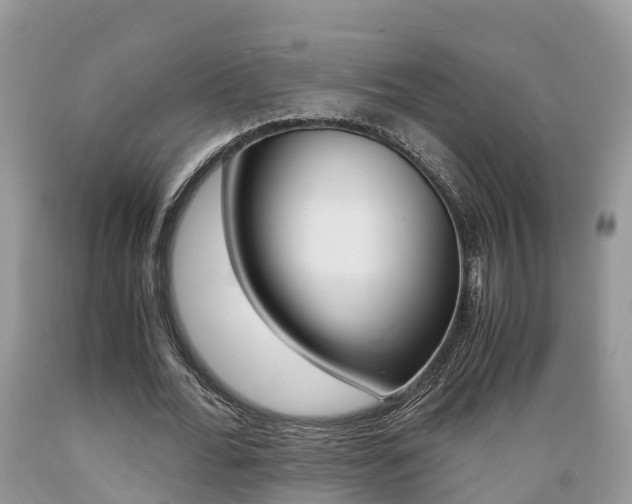X0000089670676200706210754