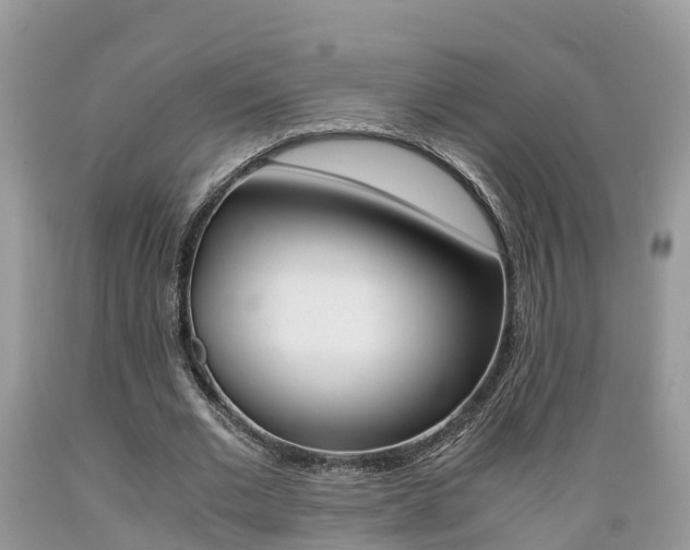 X0000089670677200706210754