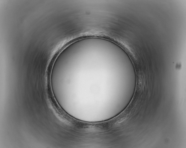 X0000089670678200706210754