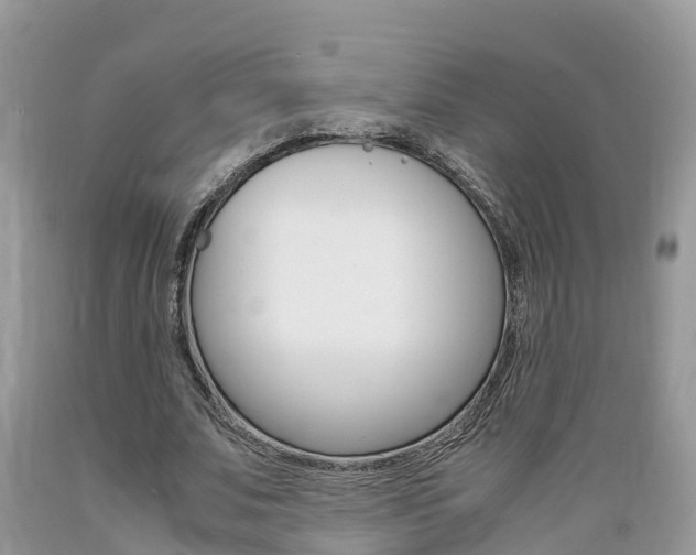 X0000089670679200706210754