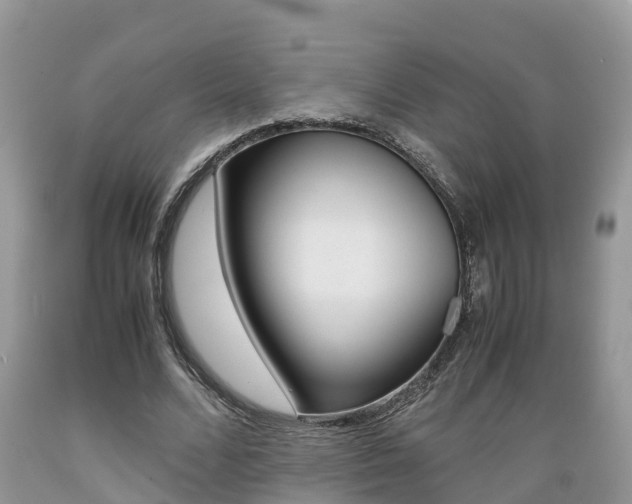 X0000089670680200706210754