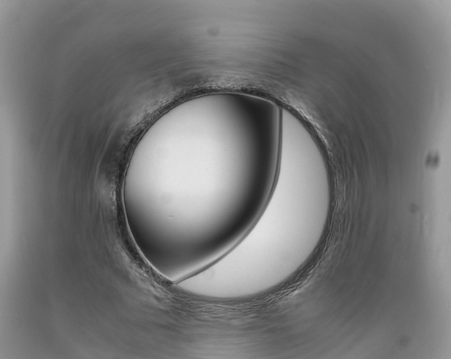 X0000089670681200706210754