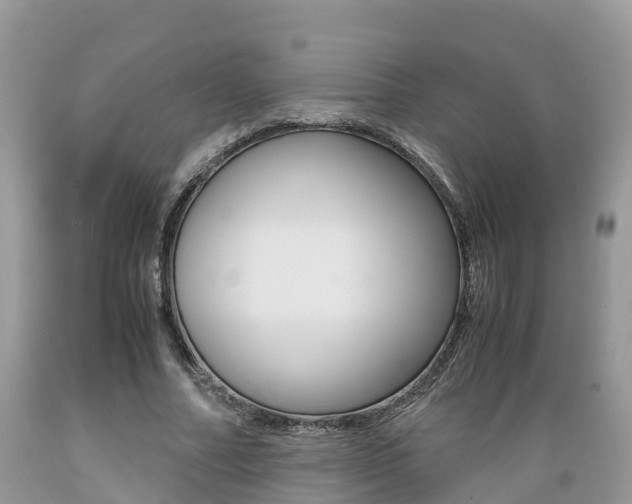 X0000089670682200706210754