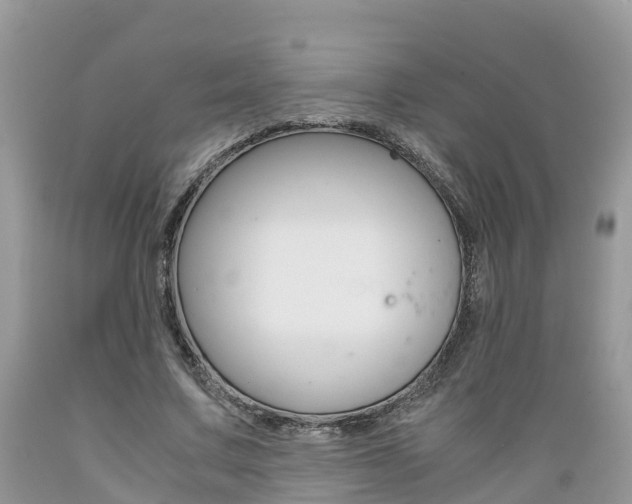 X0000089670683200706210754