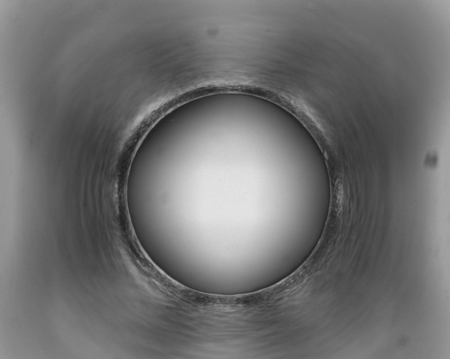 X0000089670684200706210754