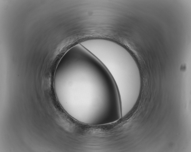 X0000089670685200706210754