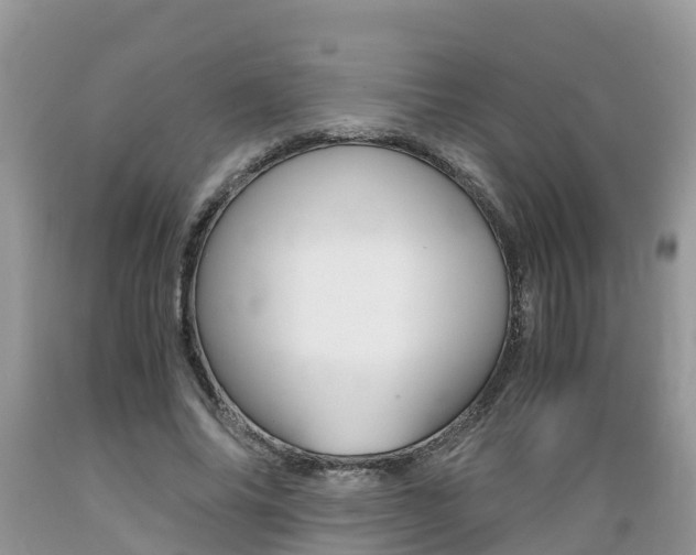X0000089670686200706210753