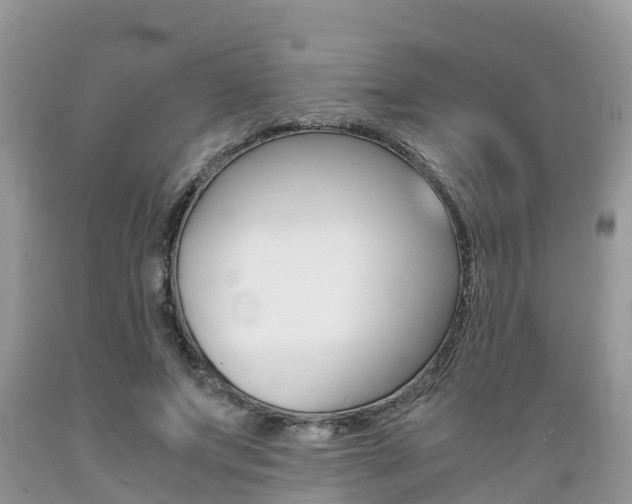 X0000089670687200706210753