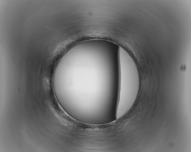 X0000089670688200706210753