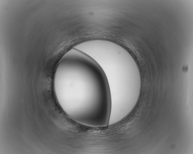 X0000089670689200706210753