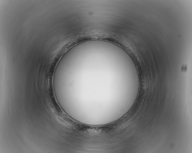 X0000089670690200706210753
