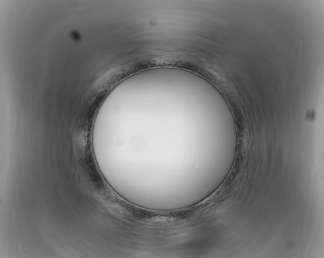 X0000089670691200706210753
