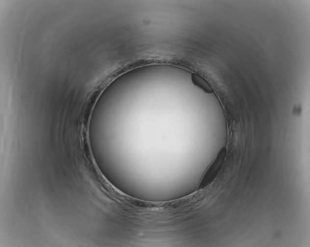 X0000089670692200706210753