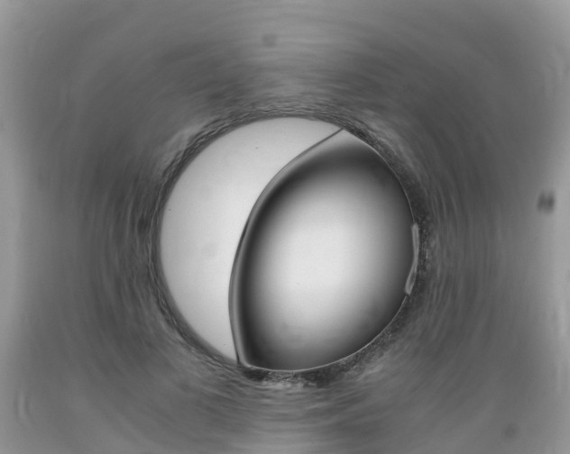 X0000089670693200706210753