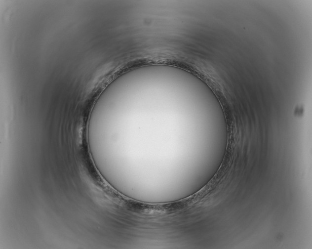 X0000089670694200706210753