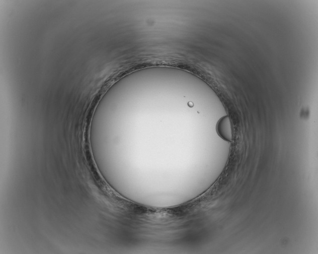 X0000089670695200706210753