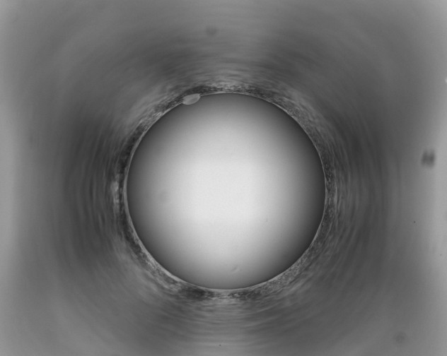 X0000089670696200706210753