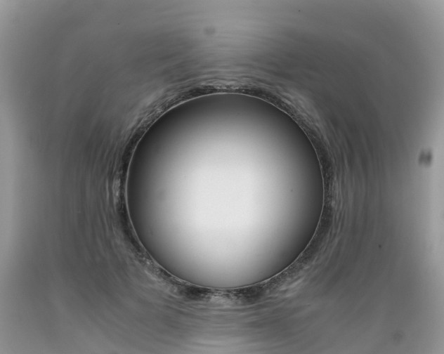 X0000089670697200706210753