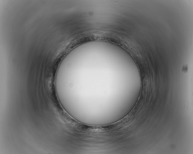 X0000089670698200706210753