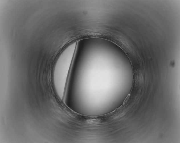 X0000089670700200706210753