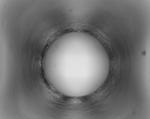 X0000089670702200706210753