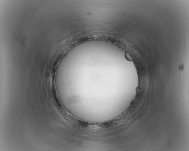 X0000089670703200706210753
