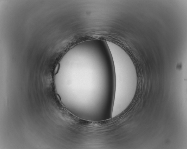X0000089670704200706210753