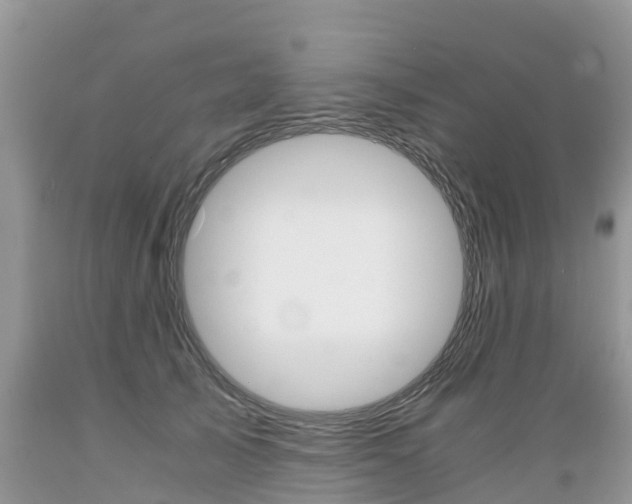 X0000089670705200706210753