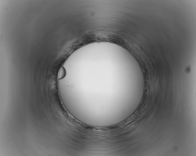 X0000089670706200706210753